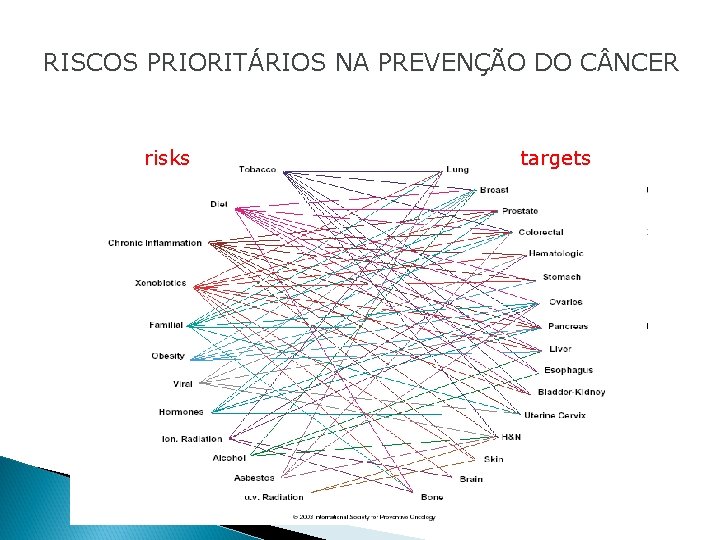 RISCOS PRIORITÁRIOS NA PREVENÇÃO DO C NCER risks targets 