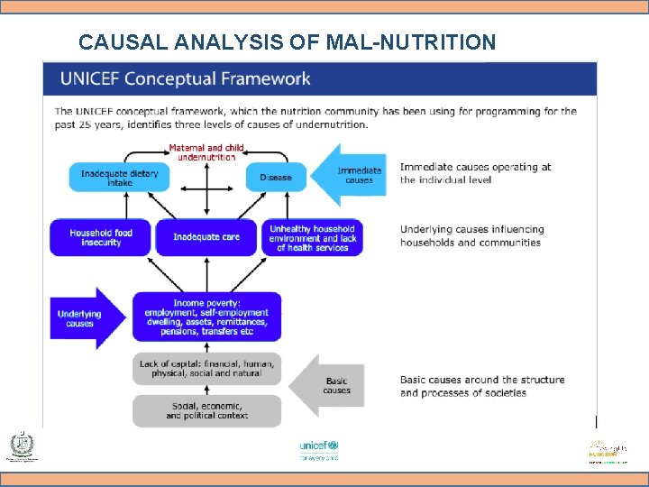 CAUSAL ANALYSIS OF MAL-NUTRITION 