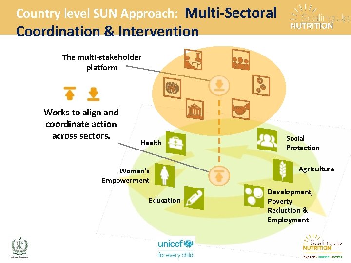 Country level SUN Approach: Multi-Sectoral Coordination & Intervention The multi-stakeholder platform Works to align