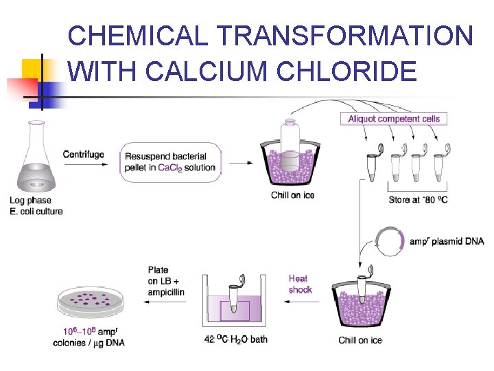 CHEMICAL TRANSFORMATION WITH CALCIUM CHLORIDE 