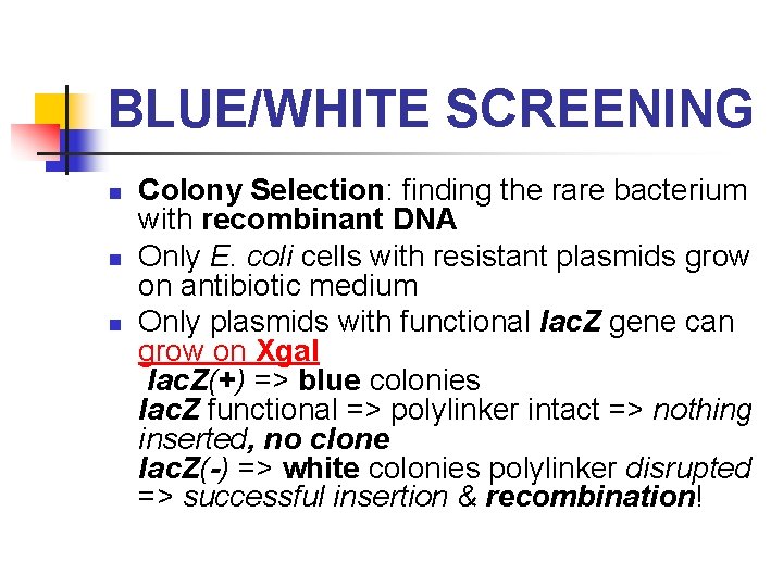 BLUE/WHITE SCREENING n n n Colony Selection: finding the rare bacterium with recombinant DNA