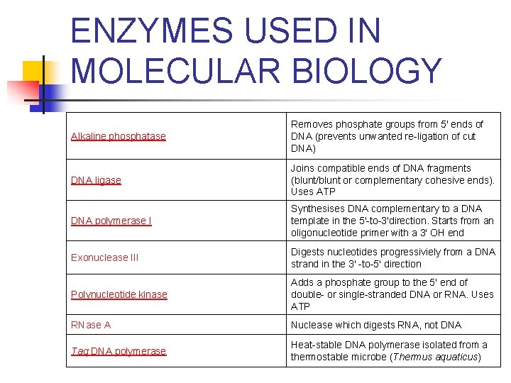 ENZYMES USED IN MOLECULAR BIOLOGY Alkaline phosphatase Removes phosphate groups from 5' ends of