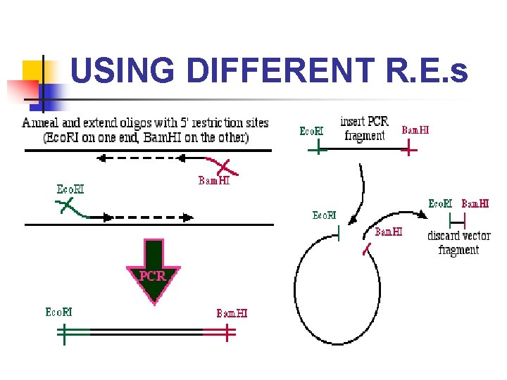 USING DIFFERENT R. E. s 