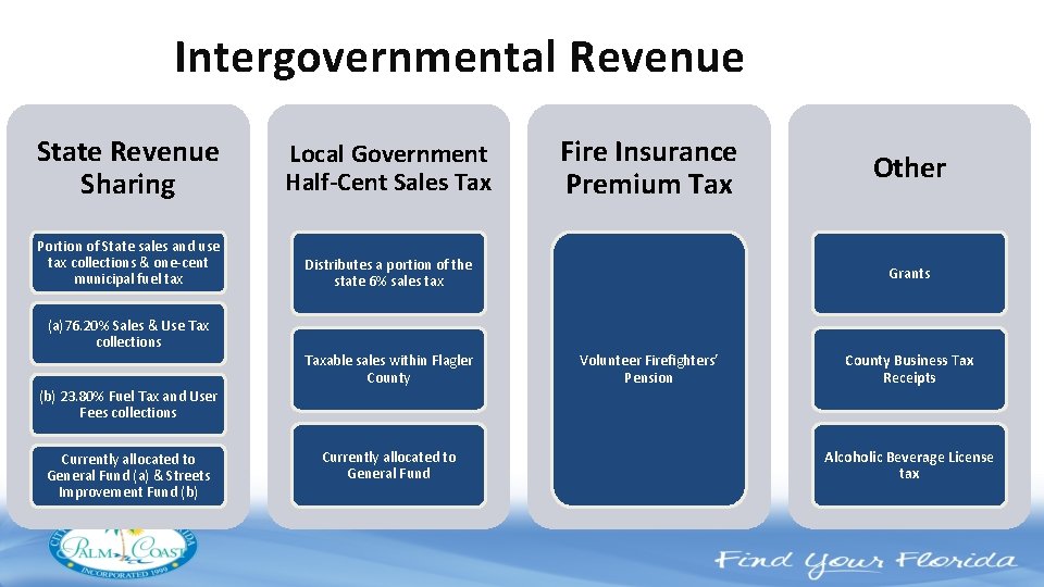 Intergovernmental Revenue State Revenue Sharing Local Government Half-Cent Sales Tax Portion of State sales