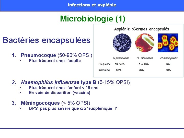 Infections et asplénie Microbiologie (1) Bactéries encapsulées 1. Pneumocoque (50 -90% OPSI) • Plus