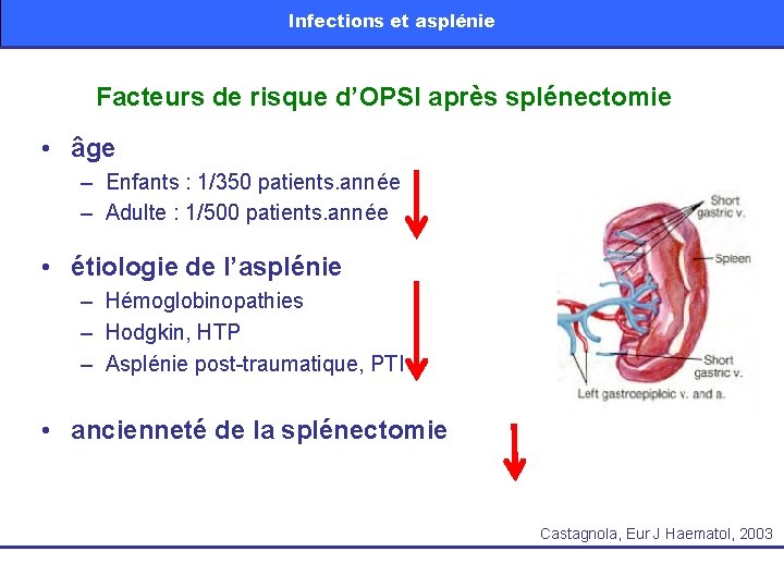 Infections et asplénie Facteurs de risque d’OPSI après splénectomie • âge – Enfants :