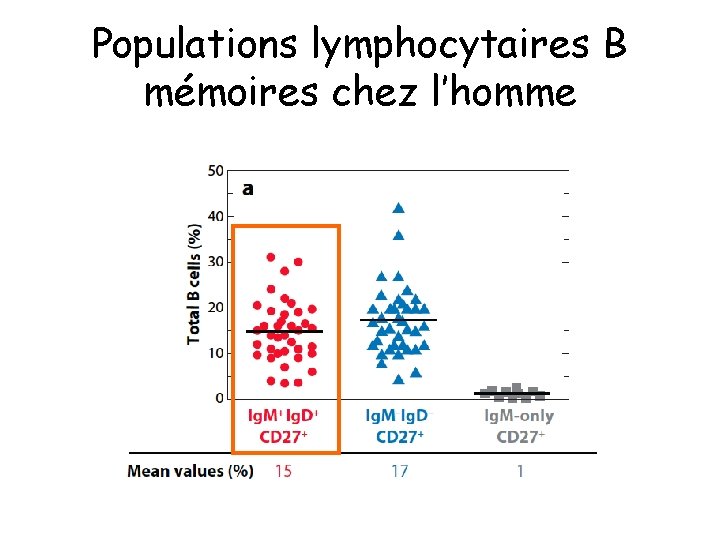 Populations lymphocytaires B mémoires chez l’homme 