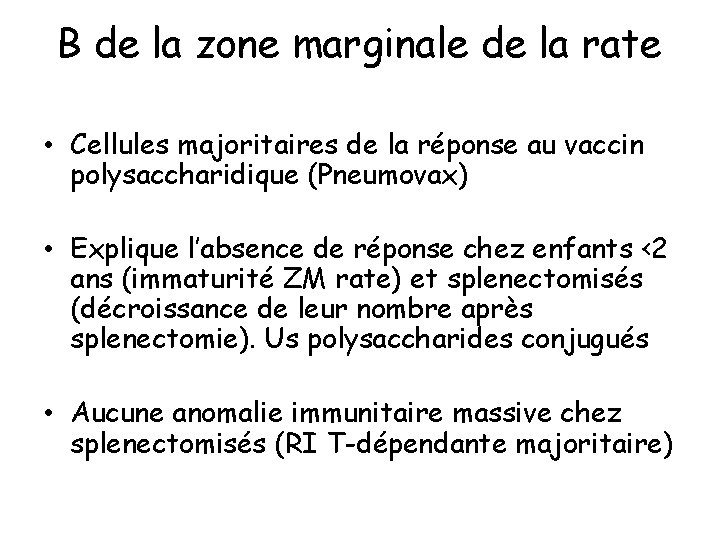 B de la zone marginale de la rate • Cellules majoritaires de la réponse