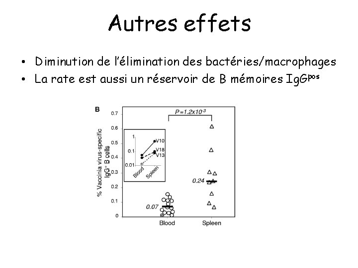 Autres effets • Diminution de l’élimination des bactéries/macrophages • La rate est aussi un