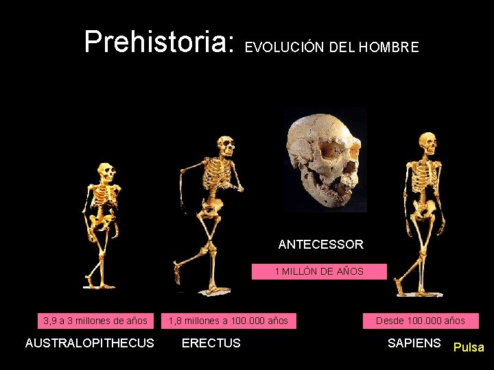 Prehistoria: EVOLUCIÓN DEL HOMBRE ANTECESSOR 1 MILLÓN DE AÑOS 3, 9 a 3 millones