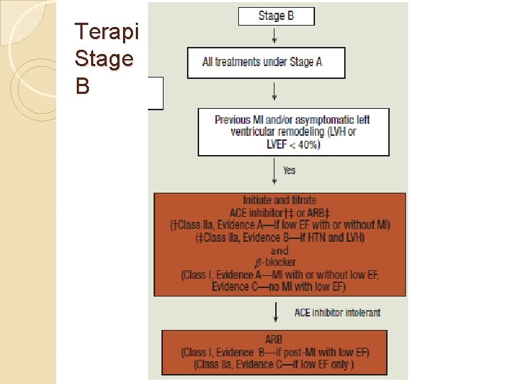 Terapi Stage B Terapi Stage B