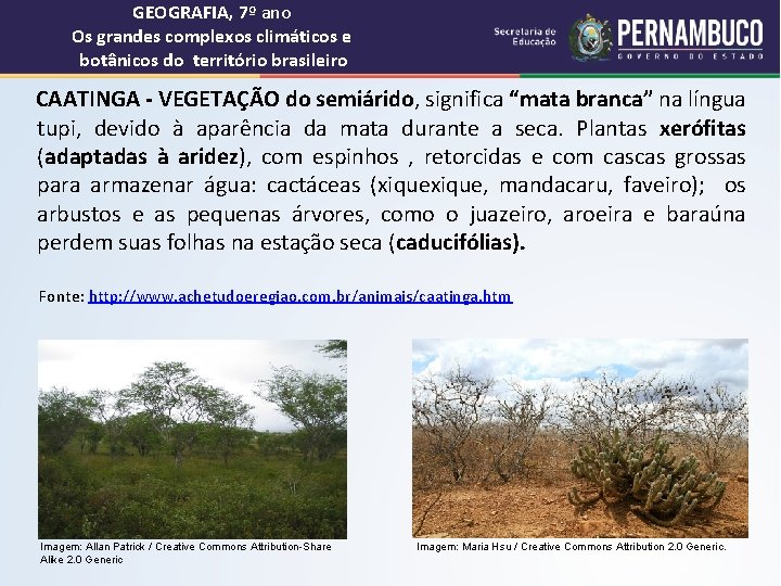 GEOGRAFIA, 7º ano Os grandes complexos climáticos e botânicos do território brasileiro CAATINGA -