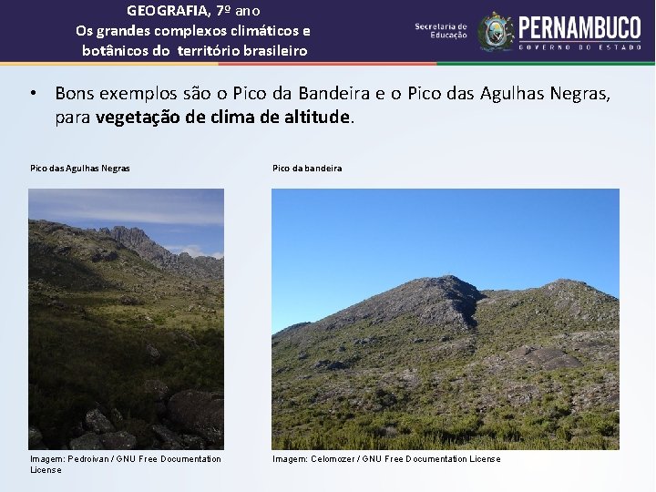 GEOGRAFIA, 7º ano Os grandes complexos climáticos e botânicos do território brasileiro • Bons