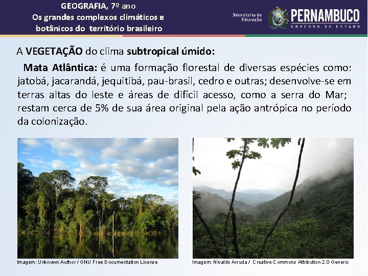 GEOGRAFIA, 7º ano Os grandes complexos climáticos e botânicos do território brasileiro A VEGETAÇÃO