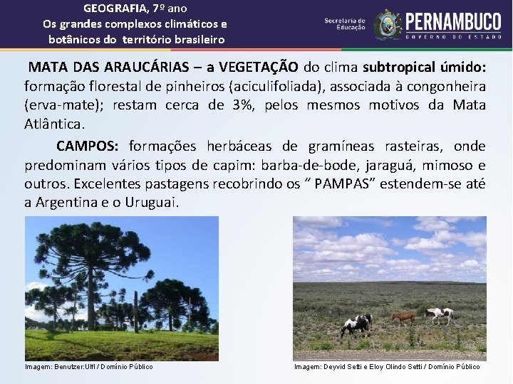 GEOGRAFIA, 7º ano Os grandes complexos climáticos e botânicos do território brasileiro MATA DAS