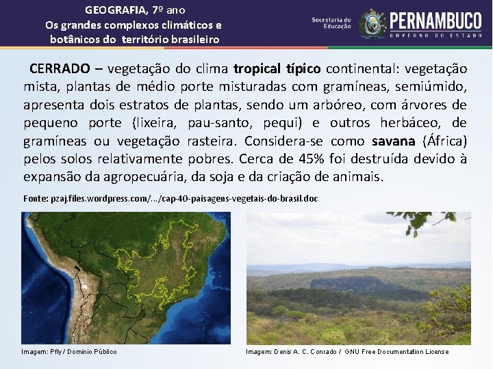 GEOGRAFIA, 7º ano Os grandes complexos climáticos e botânicos do território brasileiro CERRADO –