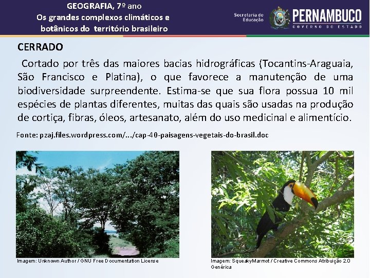 GEOGRAFIA, 7º ano Os grandes complexos climáticos e botânicos do território brasileiro CERRADO Cortado