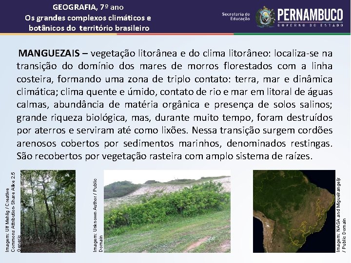GEOGRAFIA, 7º ano Os grandes complexos climáticos e botânicos do território brasileiro Imagem: NASA