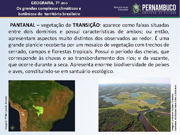 GEOGRAFIA, 7º ano Os grandes complexos climáticos e botânicos do território brasileiro Imagem: Unknown