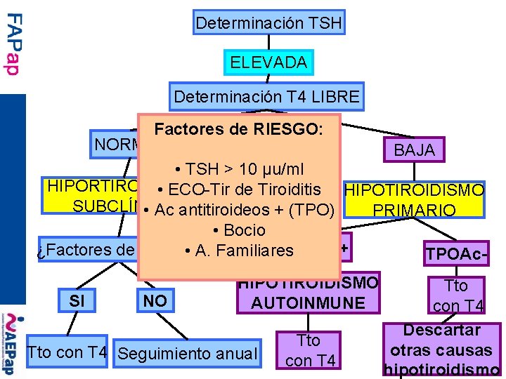 Determinación TSH ELEVADA Determinación T 4 LIBRE Factores de RIESGO: NORMAL BAJA • TSH