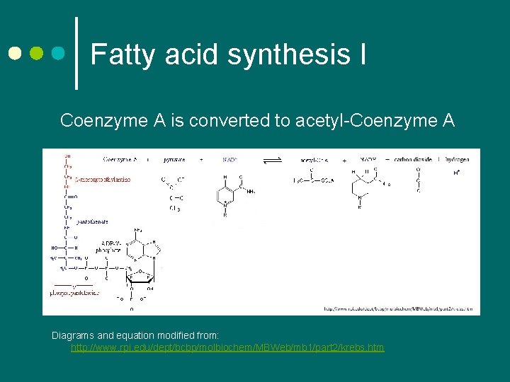 Fatty acid synthesis I Coenzyme A is converted to acetyl-Coenzyme A Diagrams and equation Fatty acid synthesis I Coenzyme A is converted to acetyl-Coenzyme A Diagrams and equation