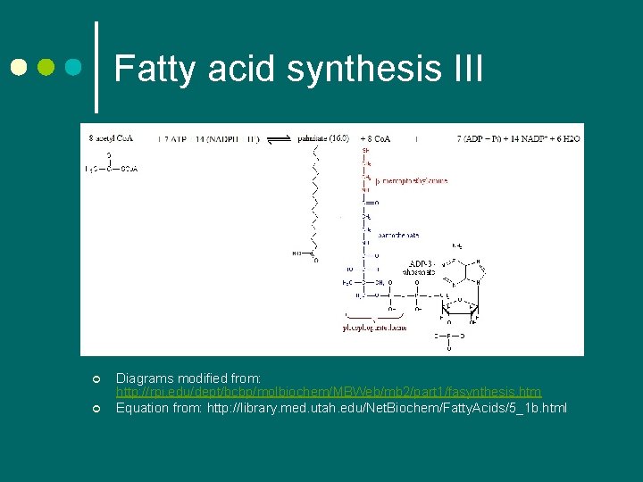Fatty acid synthesis III ¢ ¢ Diagrams modified from: http: //rpi. edu/dept/bcbp/molbiochem/MBWeb/mb 2/part 1/fasynthesis. Fatty acid synthesis III ¢ ¢ Diagrams modified from: http: //rpi. edu/dept/bcbp/molbiochem/MBWeb/mb 2/part 1/fasynthesis.