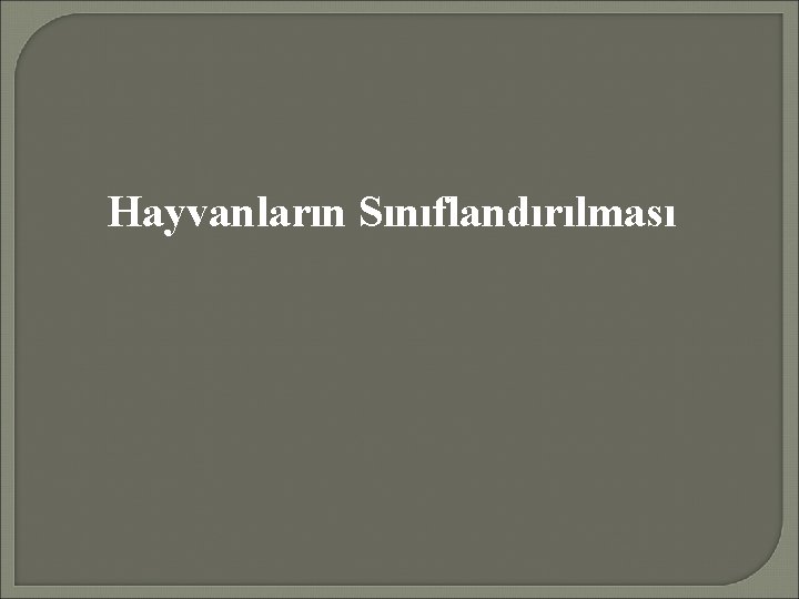 Hayvanların Sınıflandırılması 