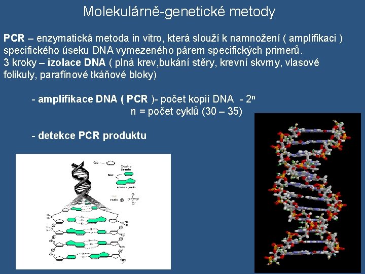  Molekulárně-genetické metody PCR – enzymatická metoda in vitro, která slouží k namnožení (