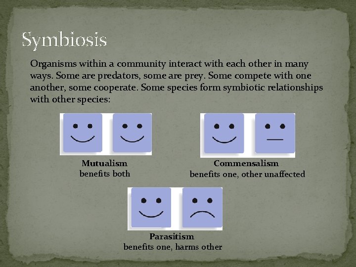 Symbiosis Organisms within a community interact with each other in many ways. Some are