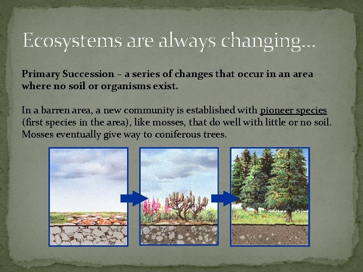 Ecosystems are always changing… Primary Succession – a series of changes that occur in