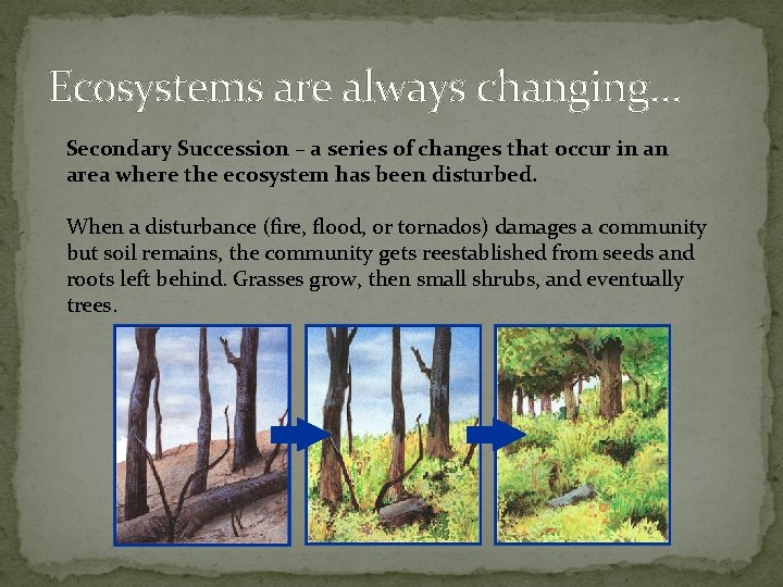 Ecosystems are always changing… Secondary Succession – a series of changes that occur in