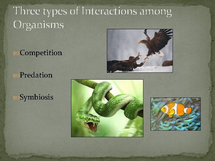 Three types of Interactions among Organisms Competition Predation Symbiosis 