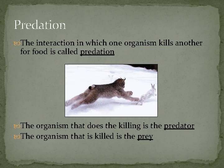 Predation The interaction in which one organism kills another food is called predation The