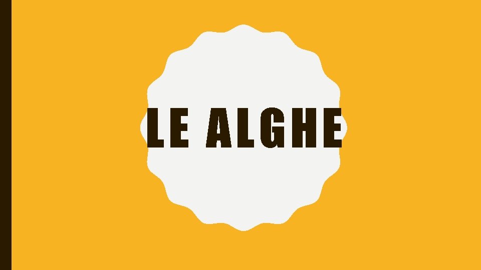 LE ALGHE 