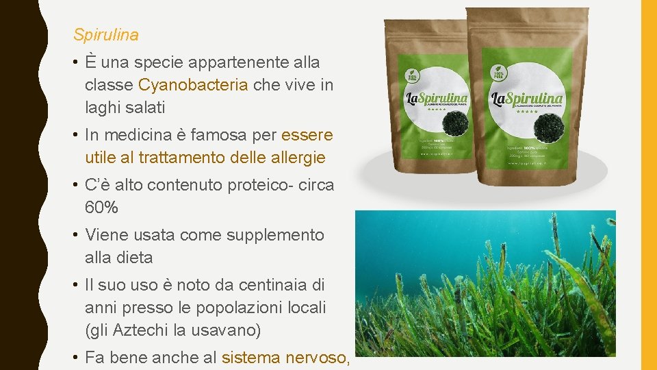 Spirulina • È una specie appartenente alla classe Cyanobacteria che vive in laghi salati