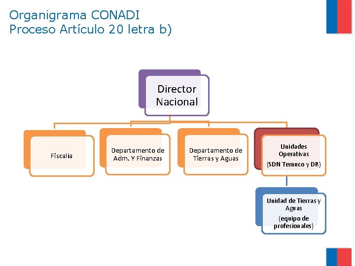 Organigrama CONADI Proceso Artículo 20 letra b) Director Nacional Fiscalía Departamento de Adm. Y