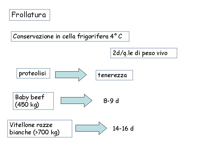 Frollatura Conservazione in cella frigorifera 4° C 2 d/q. le di peso vivo proteolisi