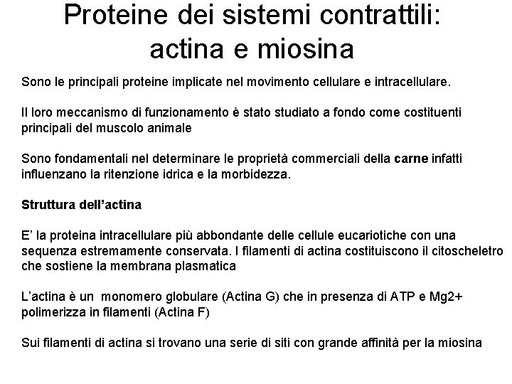 Proteine dei sistemi contrattili: actina e miosina Sono le principali proteine implicate nel movimento