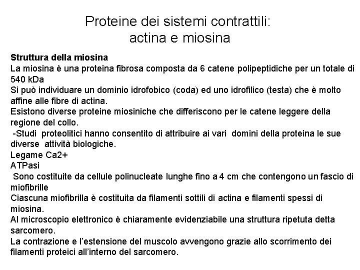 Proteine dei sistemi contrattili: actina e miosina Struttura della miosina La miosina è una