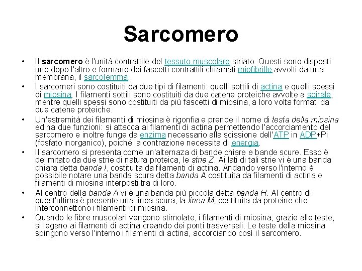 Sarcomero • • • Il sarcomero è l'unità contrattile del tessuto muscolare striato. Questi