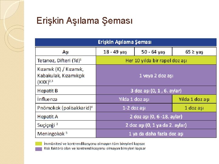 Erişkin Aşılama Şeması 