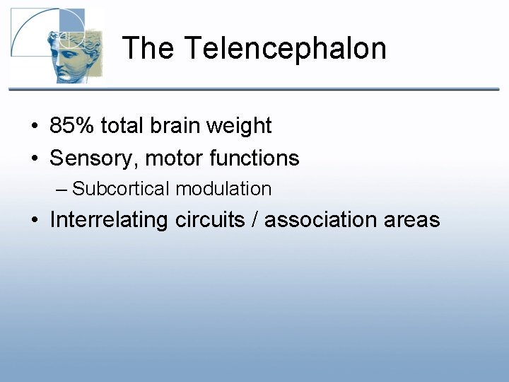 The Telencephalon • 85% total brain weight • Sensory, motor functions – Subcortical modulation The Telencephalon • 85% total brain weight • Sensory, motor functions – Subcortical modulation