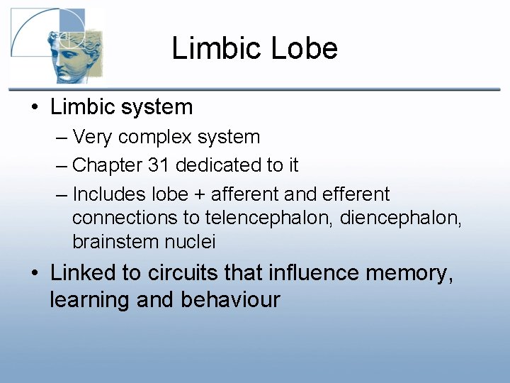 Limbic Lobe • Limbic system – Very complex system – Chapter 31 dedicated to Limbic Lobe • Limbic system – Very complex system – Chapter 31 dedicated to