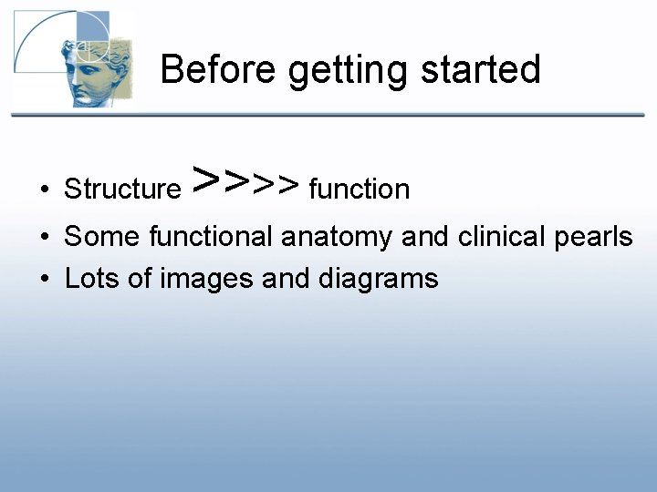 Before getting started • Structure >>>> function • Some functional anatomy and clinical pearls Before getting started • Structure >>>> function • Some functional anatomy and clinical pearls
