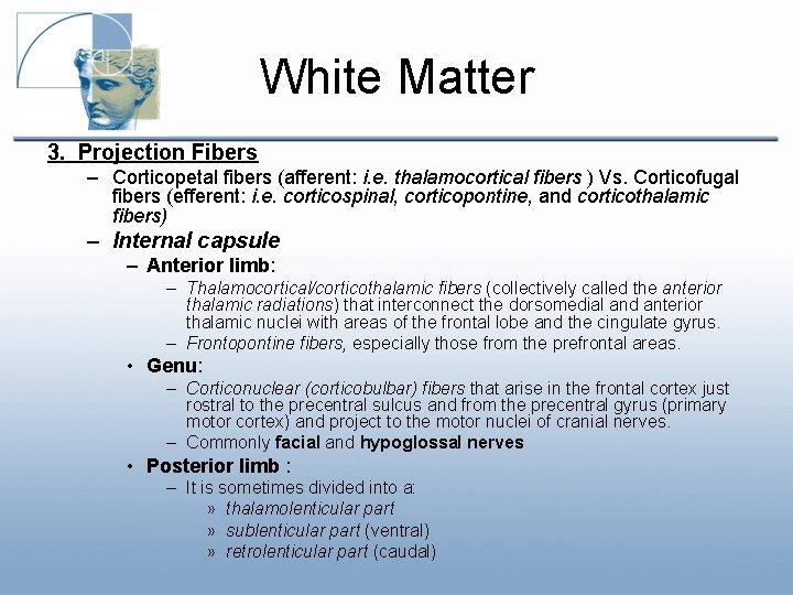 White Matter 3. Projection Fibers – Corticopetal fibers (afferent: i. e. thalamocortical fibers ) White Matter 3. Projection Fibers – Corticopetal fibers (afferent: i. e. thalamocortical fibers )
