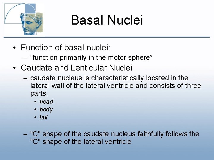 Basal Nuclei • Function of basal nuclei: – “function primarily in the motor sphere” Basal Nuclei • Function of basal nuclei: – “function primarily in the motor sphere”