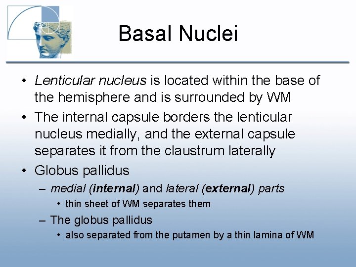 Basal Nuclei • Lenticular nucleus is located within the base of the hemisphere and Basal Nuclei • Lenticular nucleus is located within the base of the hemisphere and