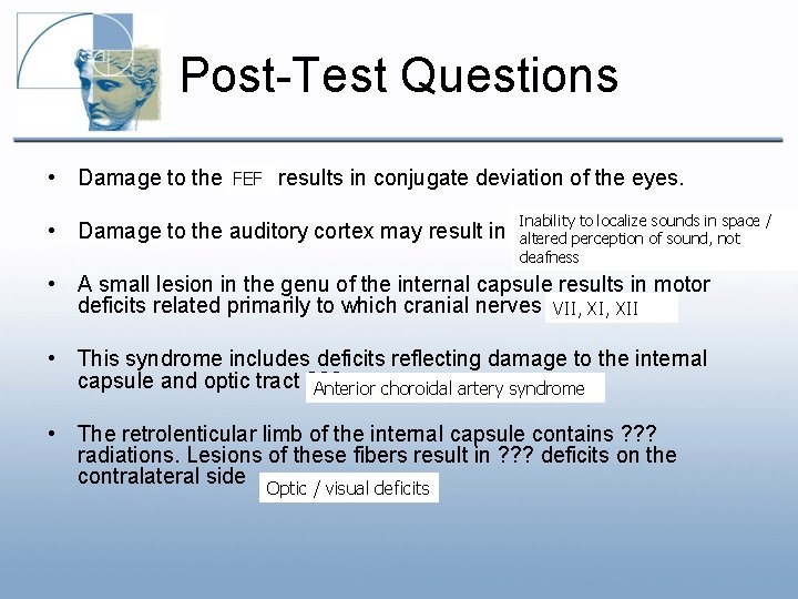 Post-Test Questions FEF results in conjugate deviation of the eyes. • Damage to the Post-Test Questions FEF results in conjugate deviation of the eyes. • Damage to the