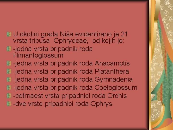 U okolini grada Niša evidentirano je 21 vrsta tribusa Ophrydeae, od kojih je: -jedna