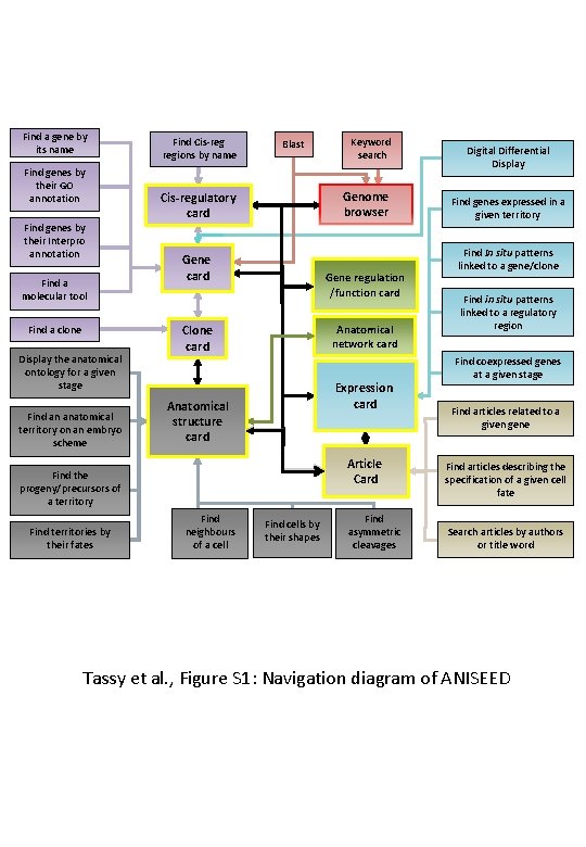 Find a gene by its name Find genes by their GO annotation Find genes